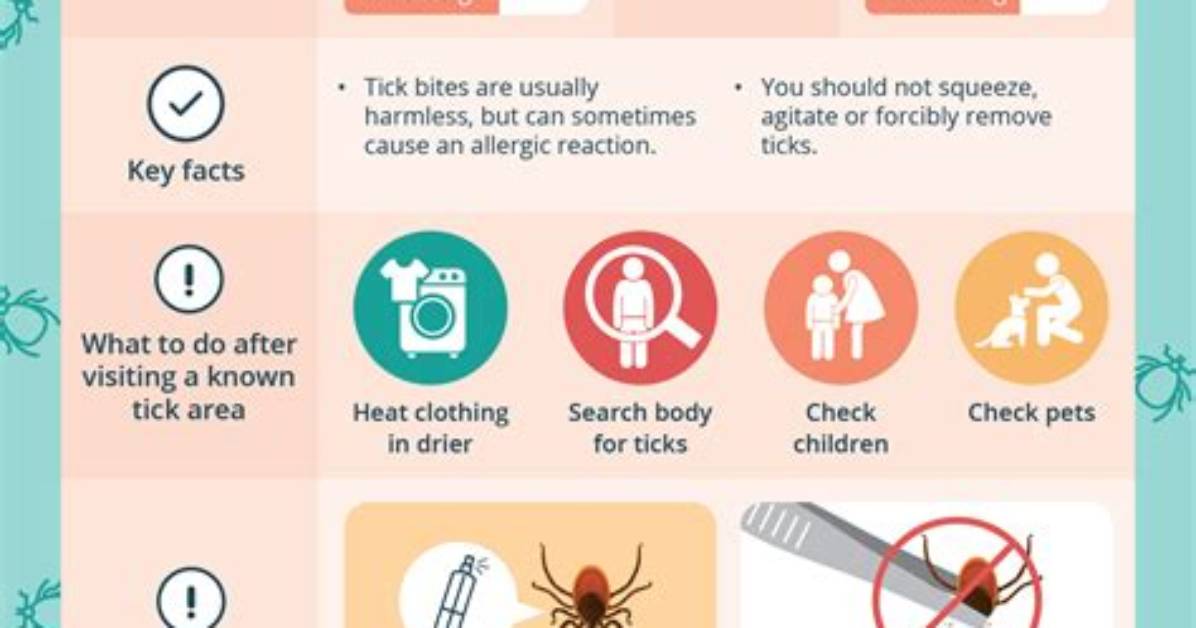 Does a Tick Bite Hurt?