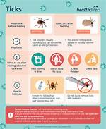 Does a Tick Bite Hurt?
