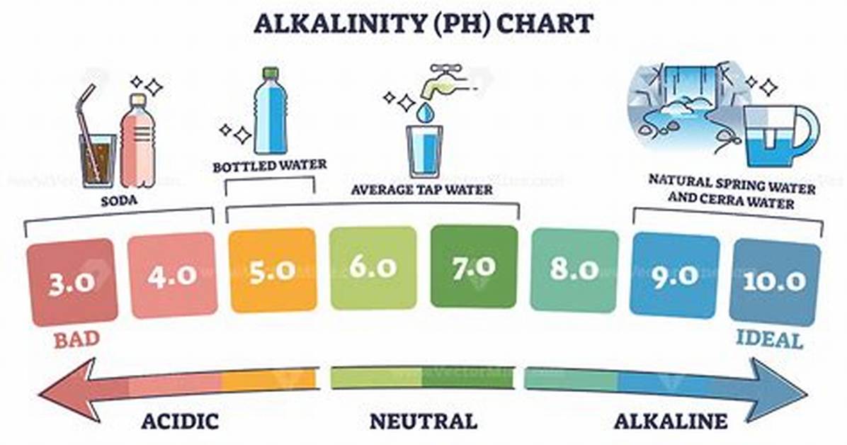 Does Adding Alkalinity Increase pH? Check This out | Ph Increaser vs Alkalinity Increaser