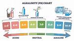 Does Adding Alkalinity Increase pH? Check This out | Ph Increaser vs Alkalinity Increaser