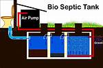 Does Adding Bacteria to Septic Tanks Work?