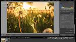 Does Adobe Lightroom Support Raw?