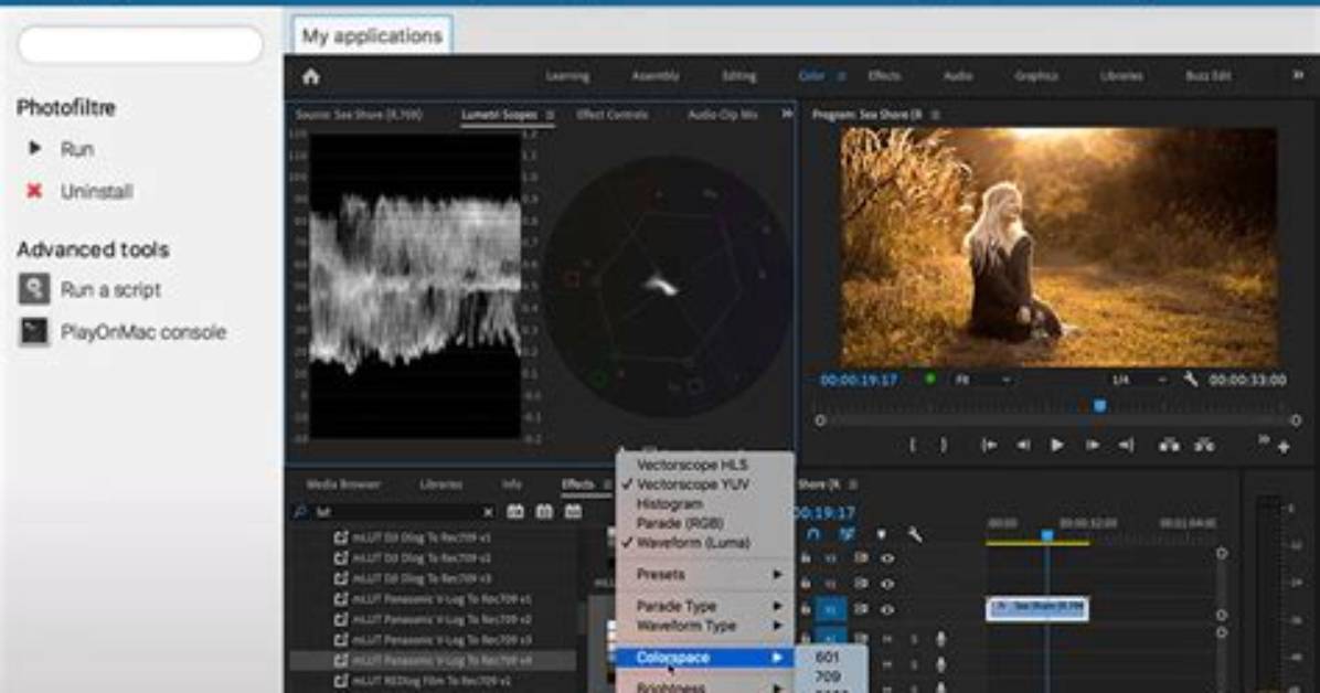 Does Adobe Premiere Run on Linux?