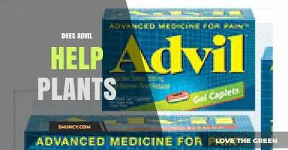Does Advil Help Plants? | Contextresponse. Com