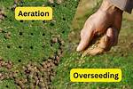 Does Aeration and Overseeding Work?