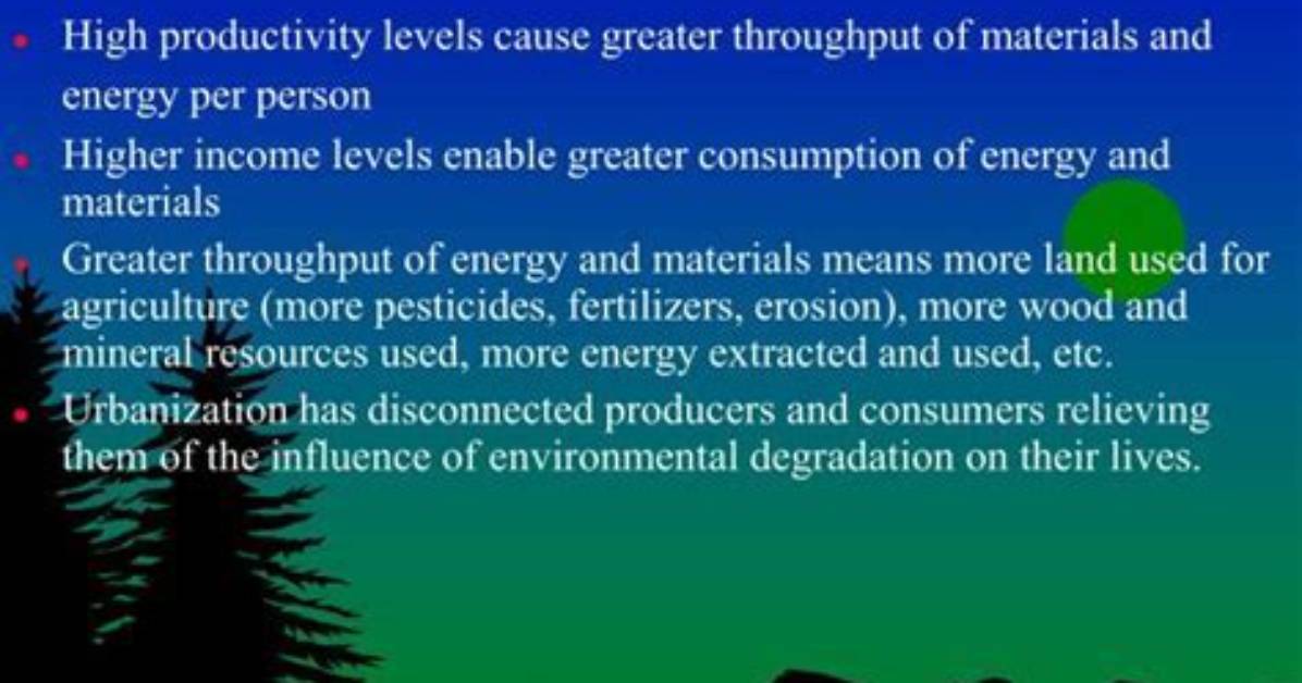 Does Affluence Affect the Environment?