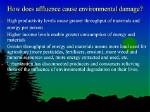 Does Affluence Affect the Environment?
