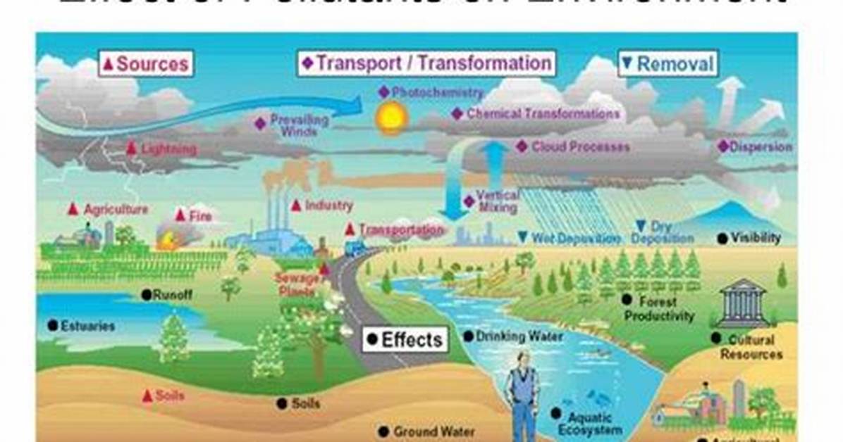 Does Air Pollution Affect Ecosystem?