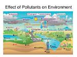 Does Air Pollution Affect Ecosystem?