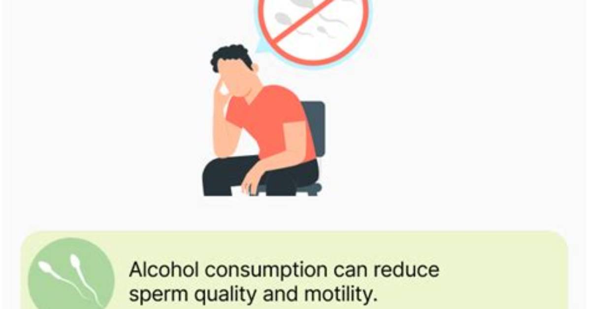 Does Alcohol Affect Sperm During Conception?