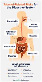 Does Alcohol Affect Your Bowels?