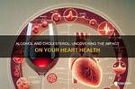 Does Alcohol Increase Cholesterol
