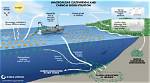 Does Algae Sequester Carbon?