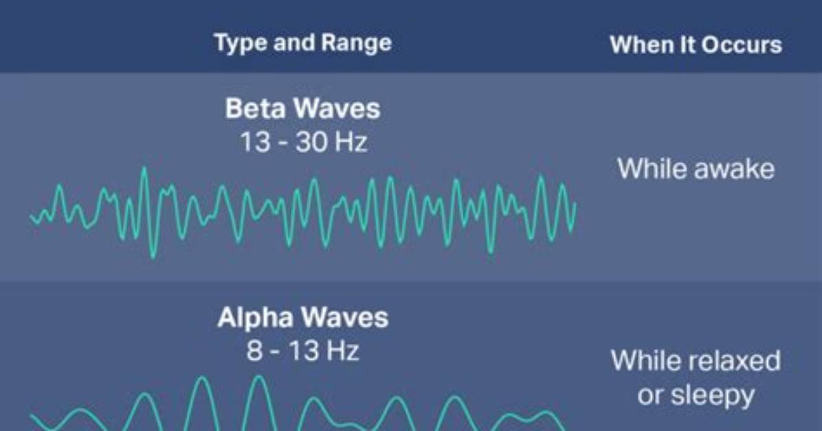 Does Alpha Brain Help You Sleep?