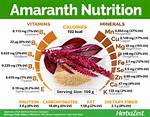Does Amaranth Have Lectins?