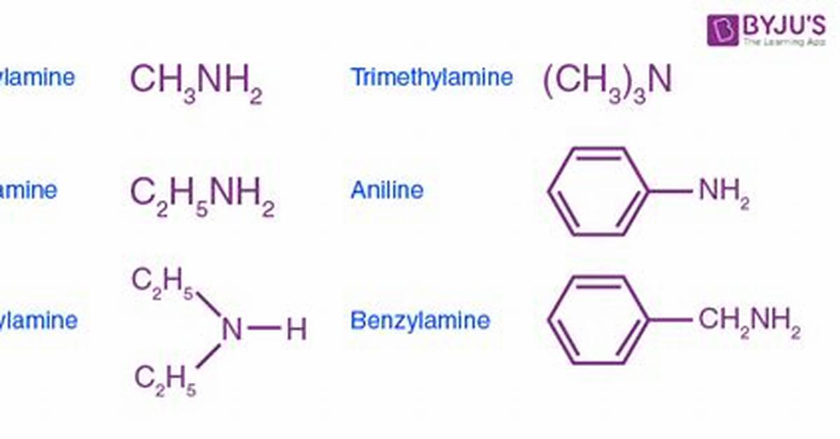 Does Amine Contain Nitrogen?