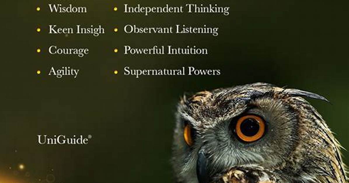 Does an Owl Represent?