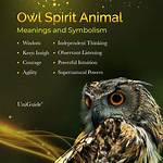 Does an Owl Represent?