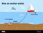Does Anchoring Really Work?