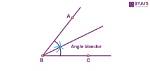Does Angle Bisector Bisect Opposite Side?