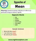 Does Antonym Mean Opposite?