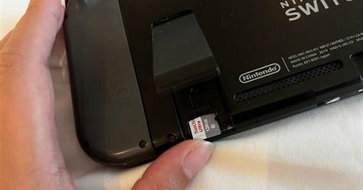 Does Any Sd Card Work with Switch?