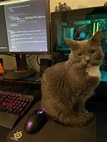Does Anyone Else Use Mouse in Vim? [Closed]