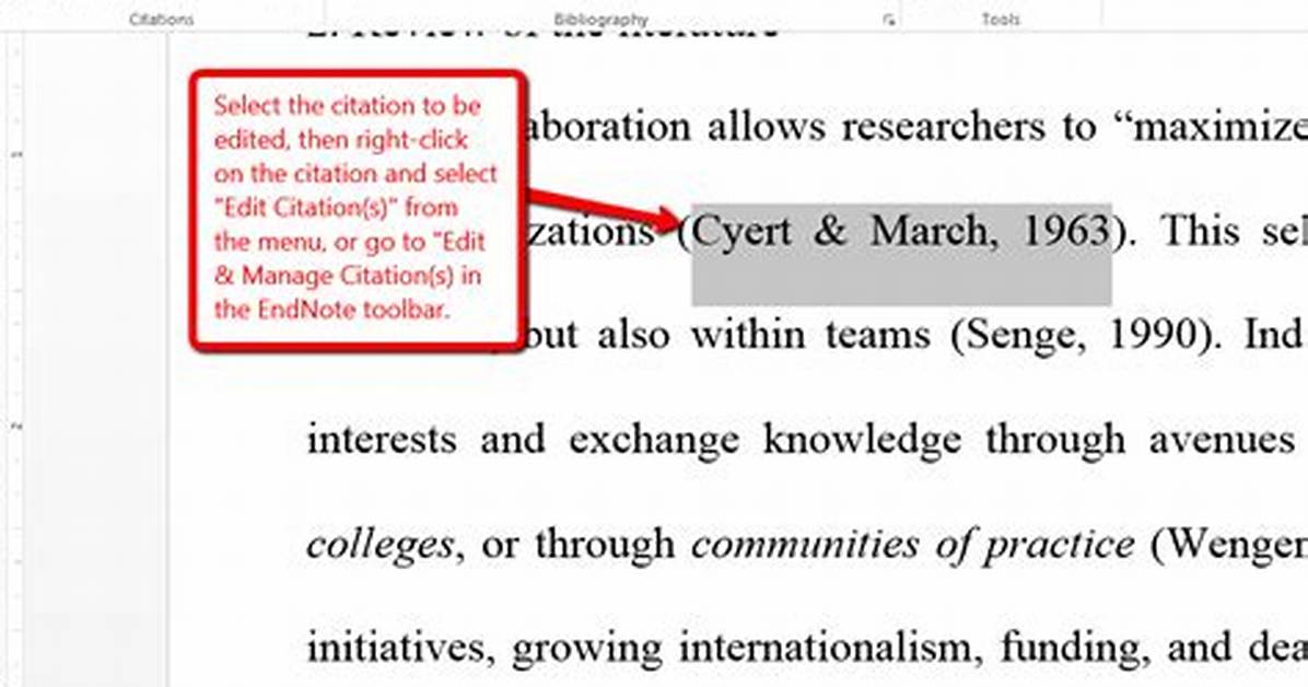 Does Apa Require in Text Citations?