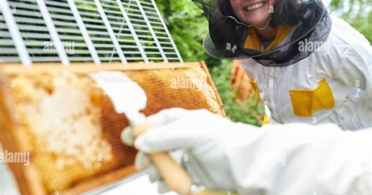 Does Apiarist Mean Beekeeper?