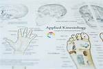Does Applied Kinesiology Work?