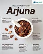 Does Arjuna Lower Cholesterol?