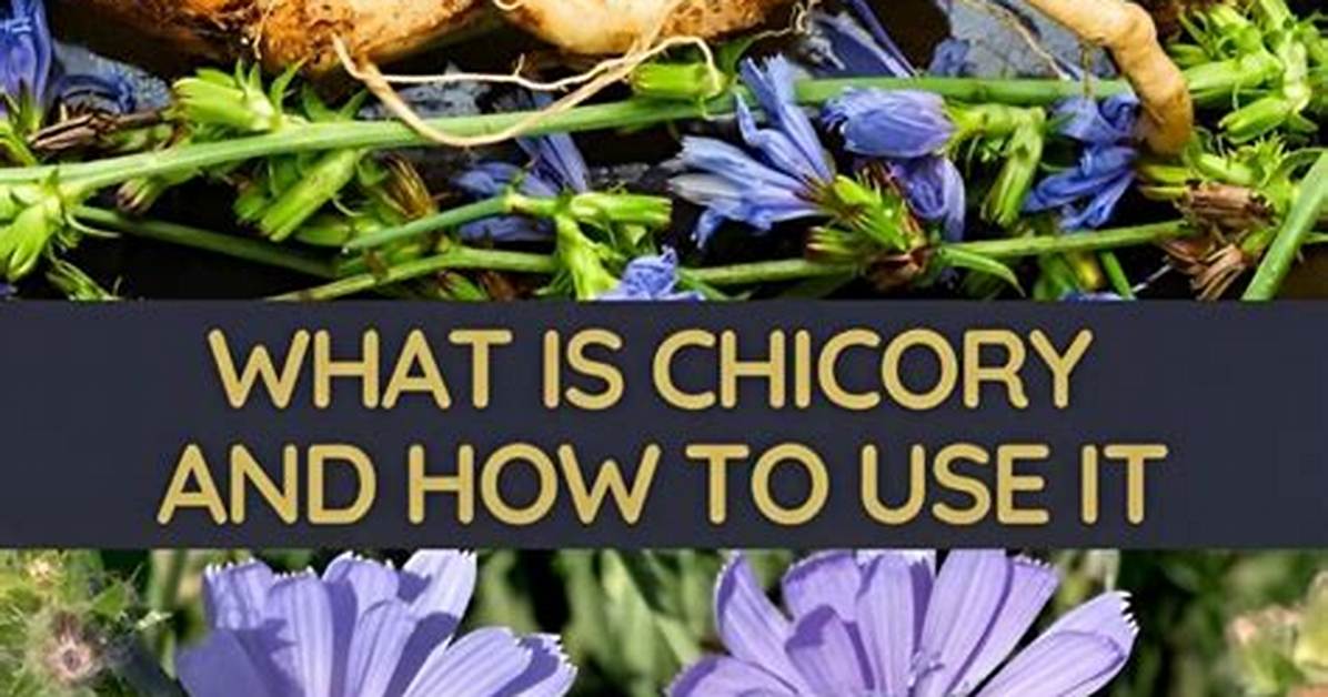 Does Arrest Max Kill Chicory