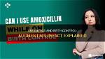 Does Augmentin Affect Birth Control?