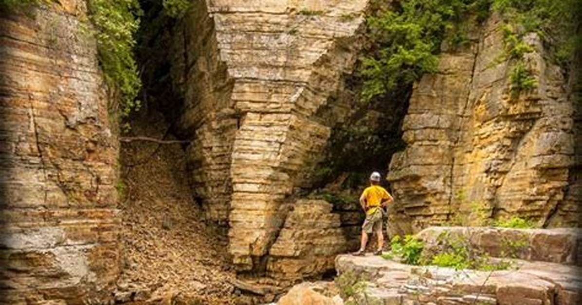 Does Ausable Chasm Allow Dogs?