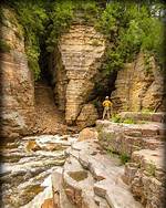 Does Ausable Chasm Allow Dogs?