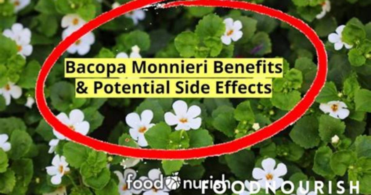 Does Bacopa Really Work?