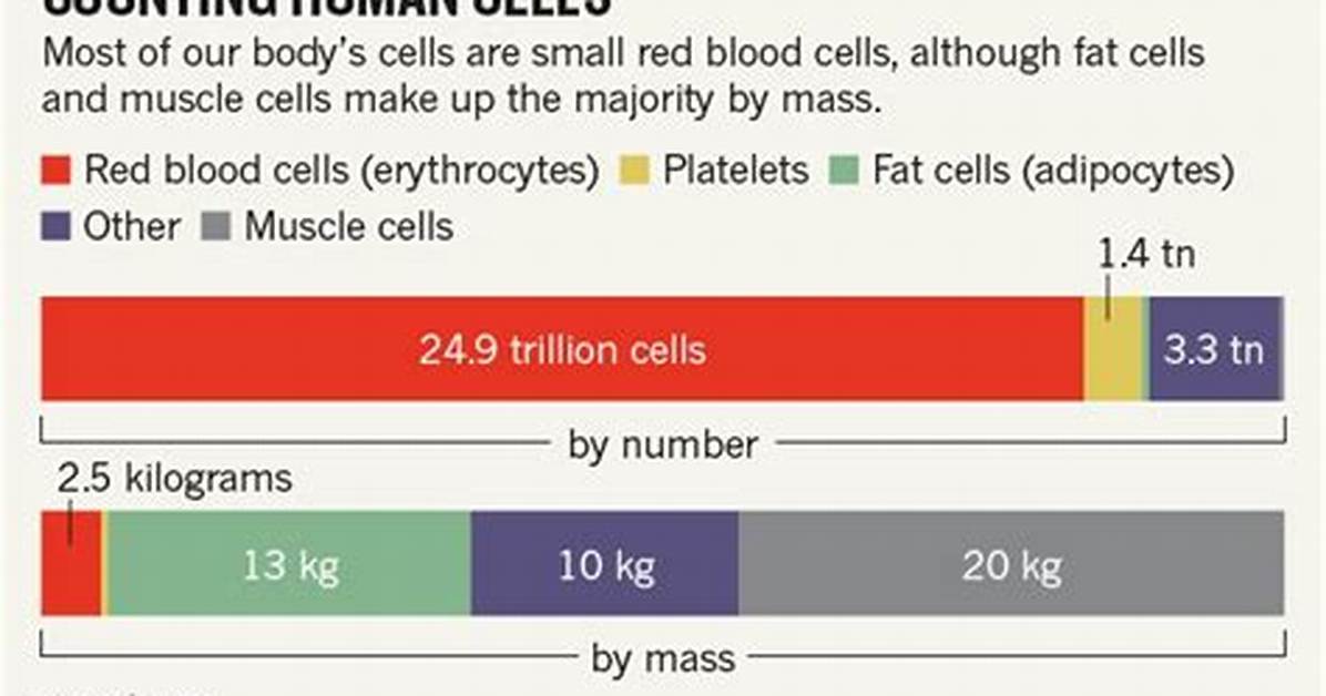Does Bacteria Outnumber Cells?