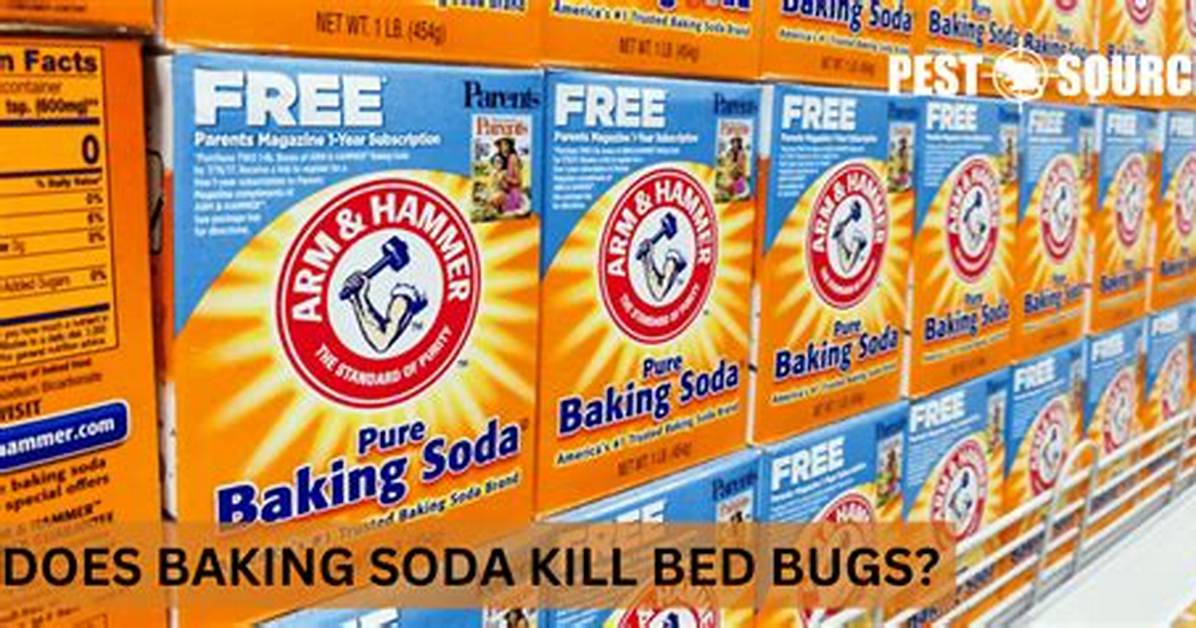 Does Baking Soda Kill Bed Bugs?