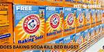 Does Baking Soda Kill Bed Bugs?