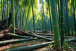 Does Bamboo Last Long?