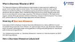 Does Basic Salary Includes Dearness Allowance?