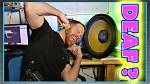 Does Bass Damage Hearing?
