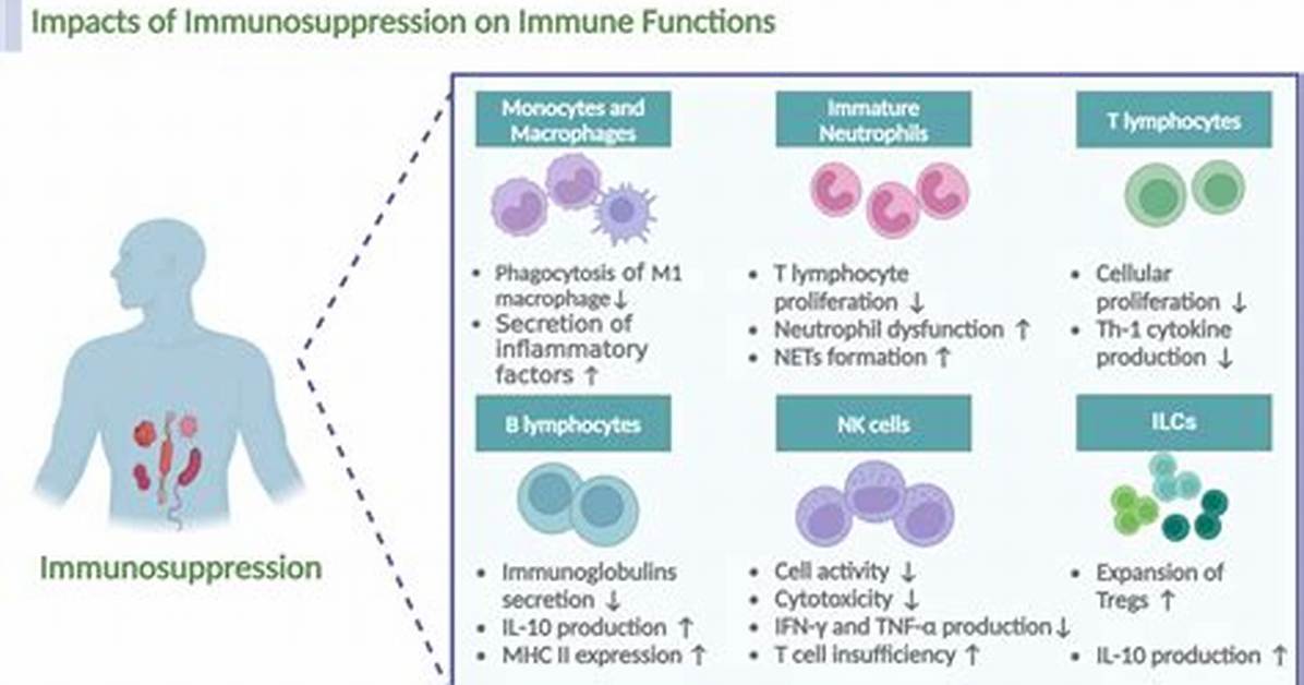 Does Bcg Cause Immunosuppression?