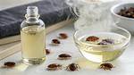 Does Bed Bug Smell When Killed?