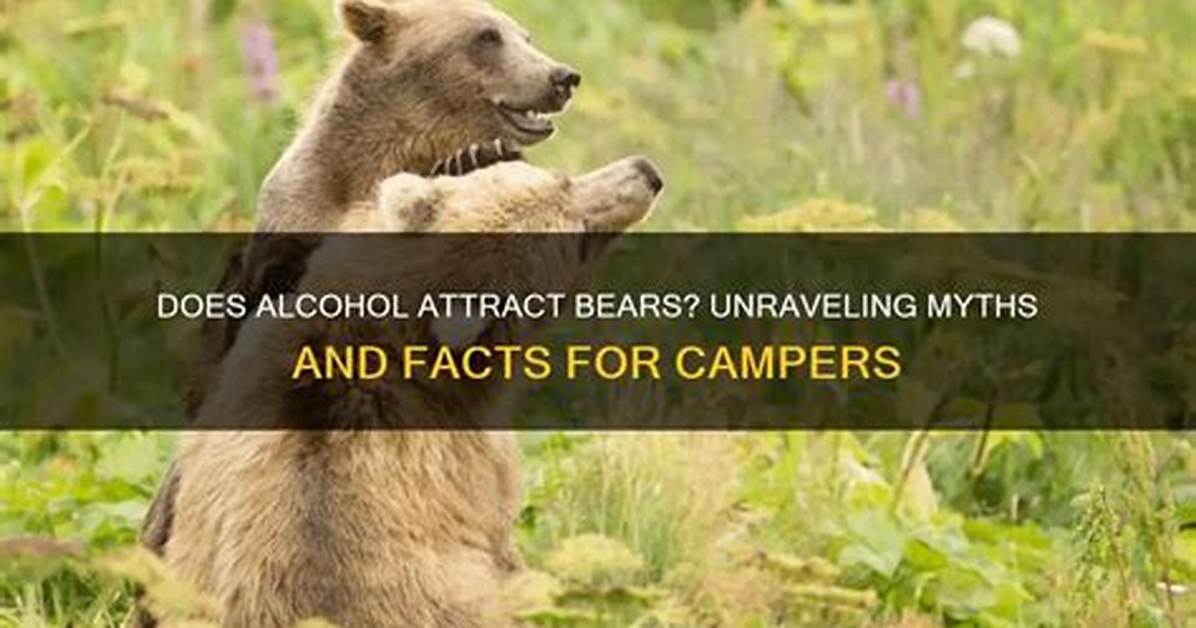 Does Beekeeping Attract Bears?