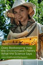 Does Beekeeping Help the Environment?