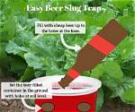 Does Beer Deter Slugs