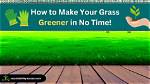 Does Beer Make Grass Greener