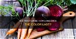 Does Beetroot Discolour Urine?