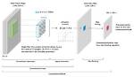 Does Bias in the Convolutional Layer Really Make a Difference to the Test Accuracy?